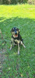 Lola