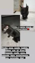 Não tem nome