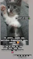 Não tem nome