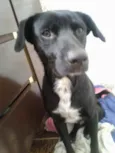 Zéquinha