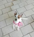 Kira