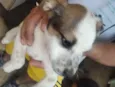 Charlie