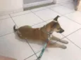 Cristina