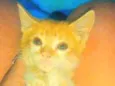 Laranja