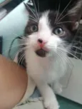 Bono
