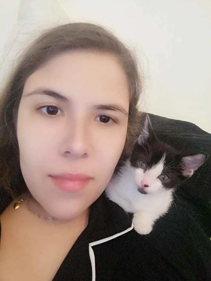 Gato ra a SRD idade Abaixo de 2 meses nome Bono