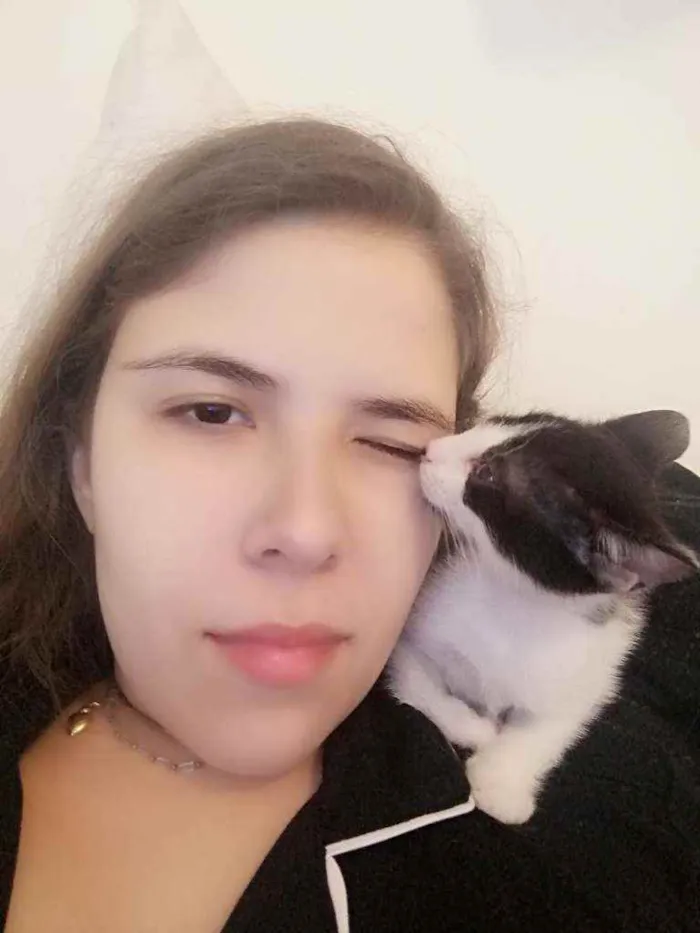 Gato ra a SRD idade Abaixo de 2 meses nome Bono
