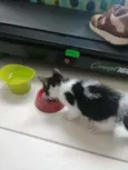 Bono