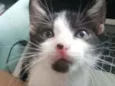 Bono