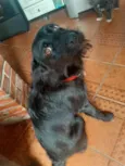 Zeca