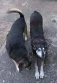 Totó e Zulú