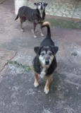 Totó e Zulú