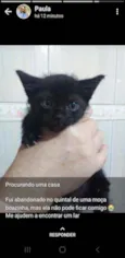 Neguinho