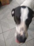 Spike