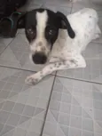 Spike