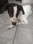 Spike