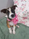 Nina