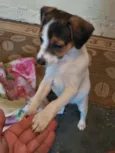 Kiki