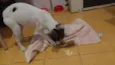 Kiki