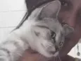 Bela