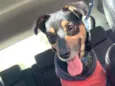 Julie