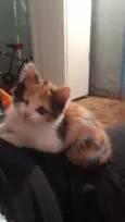 Nenem