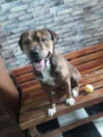 BALU