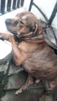 BALU
