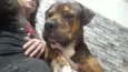 BALU