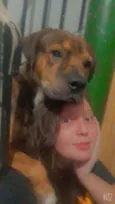 BALU