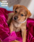 SAMIRA
