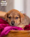 SAMIRA