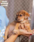 SAMIRA