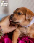 SAMIRA