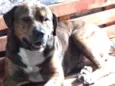 BALU