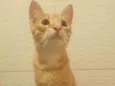 ....