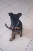 Boris