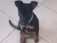 Boris