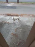 ???