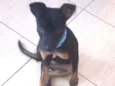 Boris