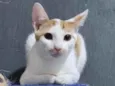 Tom Tom