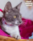 HELEN