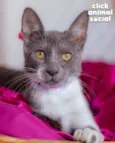 HELEN
