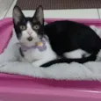 ** BETHÂNIA **