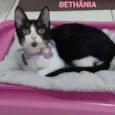 ** BETHÂNIA **