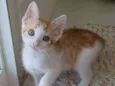 !! MILK !!