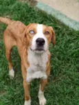Zoio