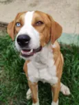 Zoio