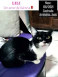 LILI