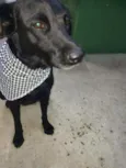 Romênia